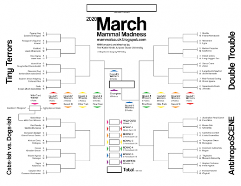 https://libapps.s3.amazonaws.com/accounts/46633/images/Mammal_March_Madness_2020_Bracket_v1_0_English.png