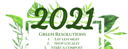 Ecological New Year