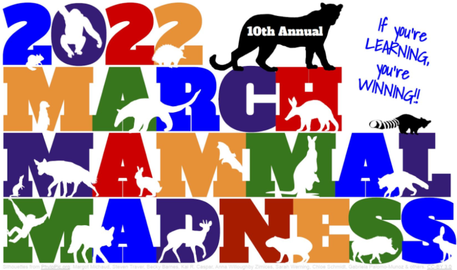 March Mammal Madness 2022