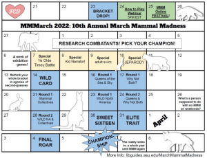 March Mammal Madness 2022 – The Quill