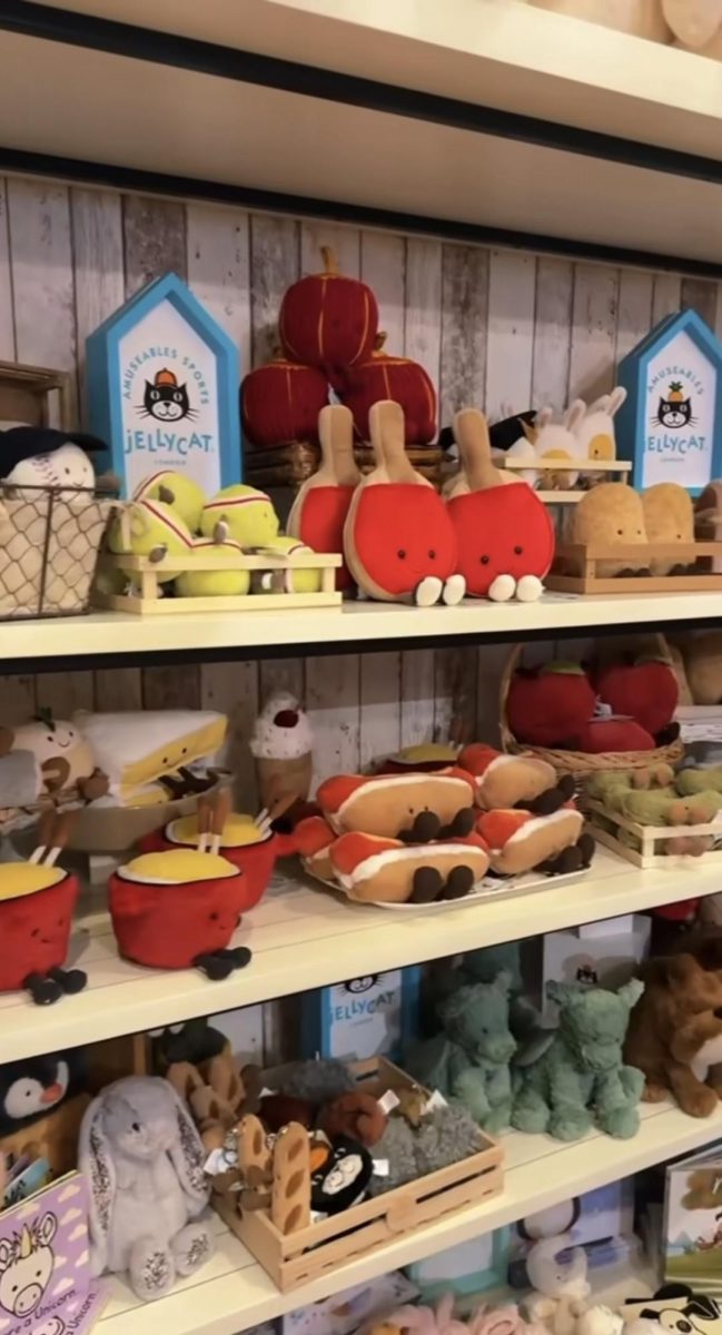 Sisters in Denville prioritizes keeping their adorable JellyCats in stock! Having them all organized in a array of shelves in the back of the store.  