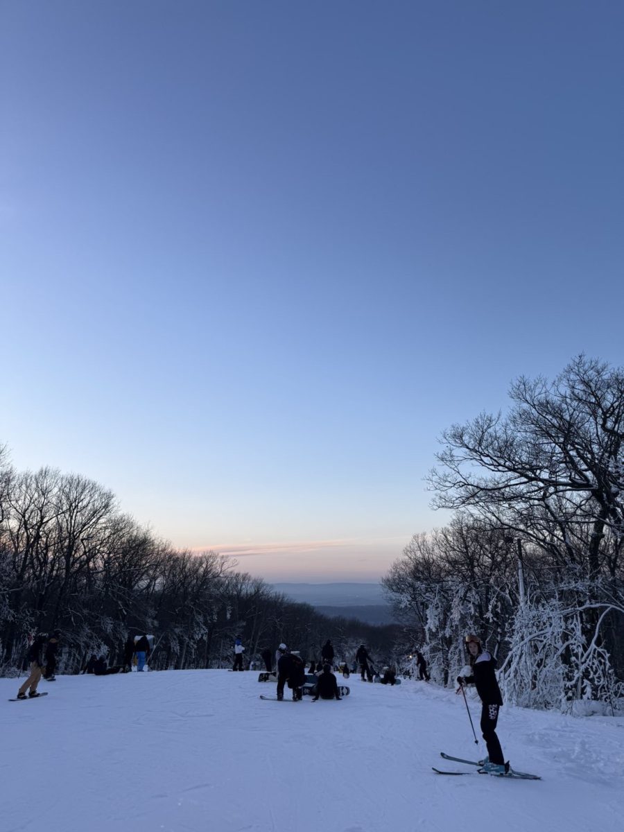 Hitting the Slopes