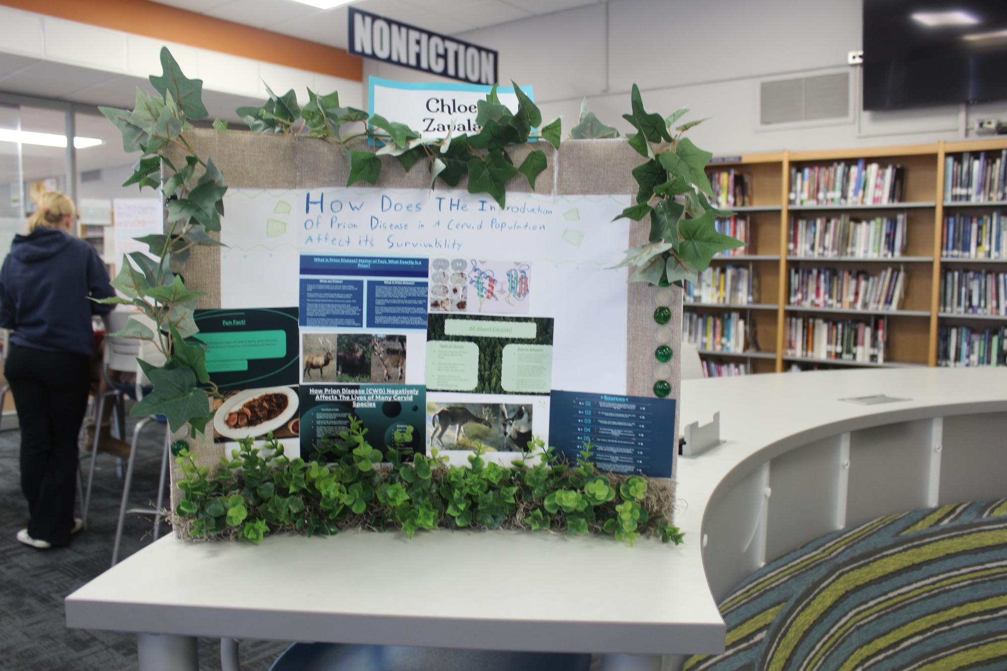 A Look at the IB Extended Essay Fair at Knolls